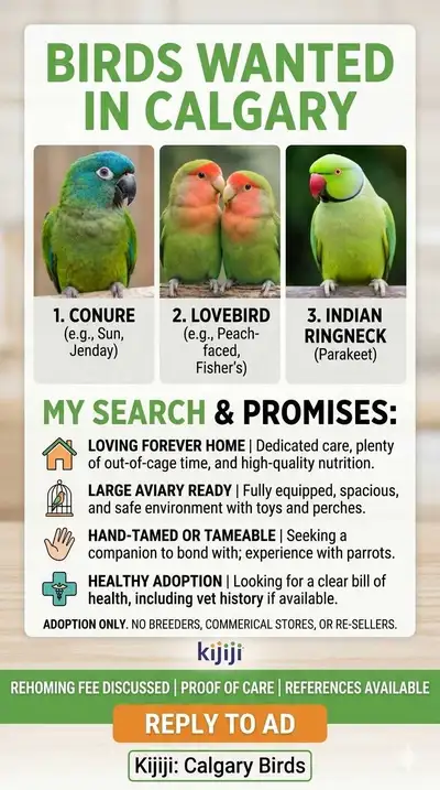 I am looking to open my home and my heart to a new feathered friend. If you are in the difficult pos...