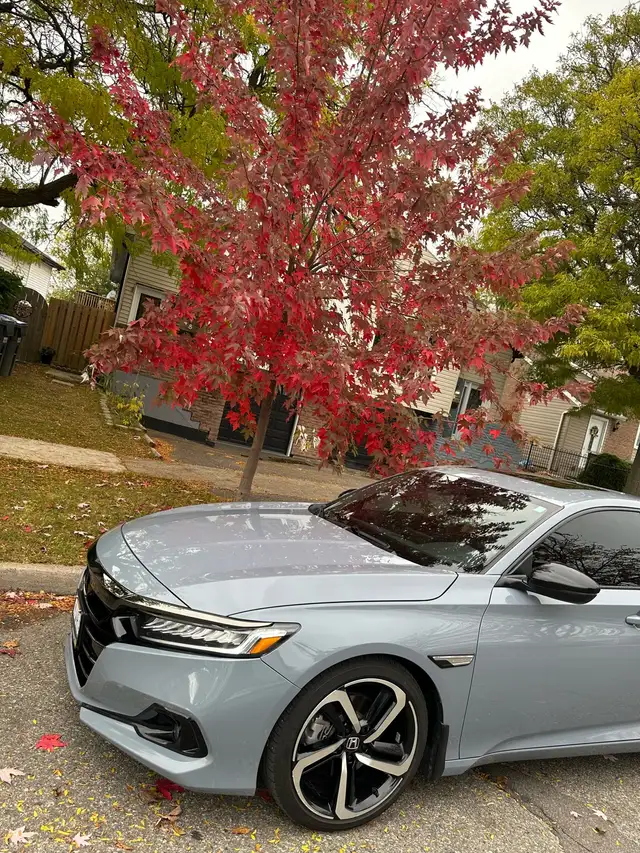 contact for ride  in Rideshare in Mississauga / Peel Region - Image 2