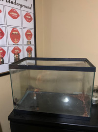 20 gallon fish tank/aquarium 