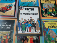 Tintin 
Bandes dessinées BD 
Collection complète 
24 BD 
