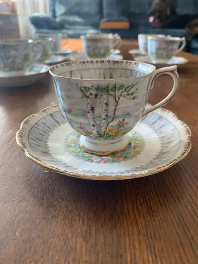 Royal Albert Bone China “Silver Birch”, View more