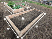 Raised beds for flower and vegetable gardens