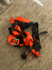 2 Fall harness systems