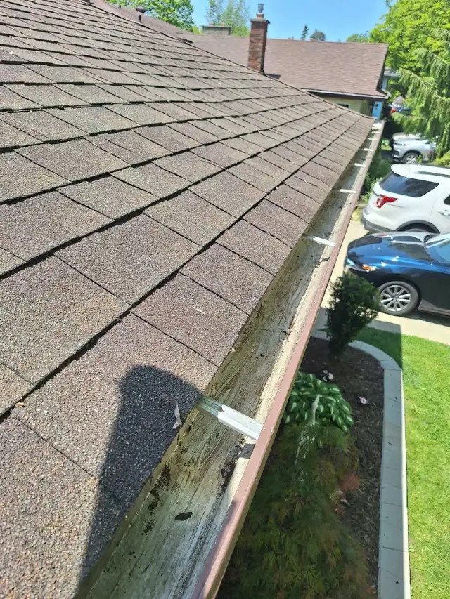 gutter cleaning65403973542529121