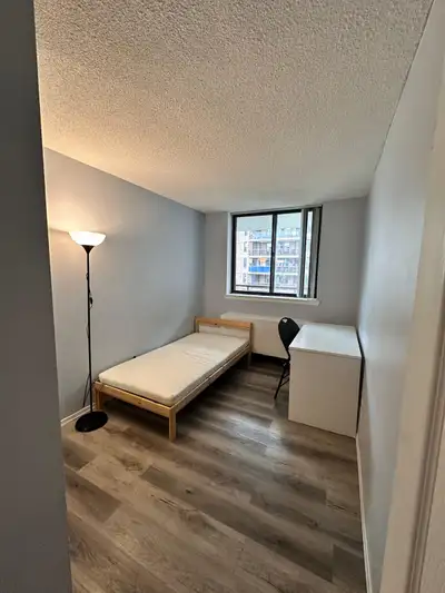 Downtown Room for Rent
