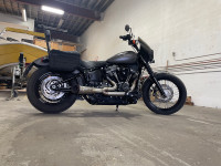 2019 Harley Davidson street bob