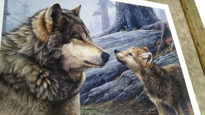 Mother Wolf Picture, View more