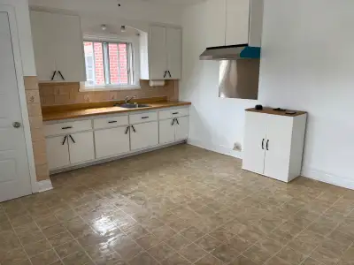 Grand 4 1/2 a louer dans immeuble tranquille tous pres de la Promenade Fleury Valide le 1er juin ou...