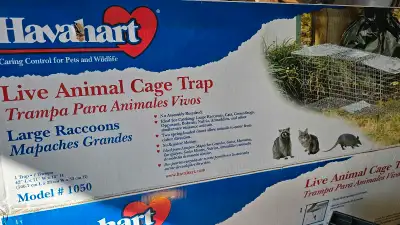 Havahart 1050 42"×11"×13" good for catching raccoon size.