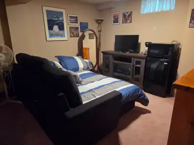 Private room in basement. Shared entrance. Own bathroom. Small fridge and microwave. Parking and wif...