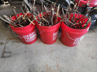 Free kindling....red buckets not included