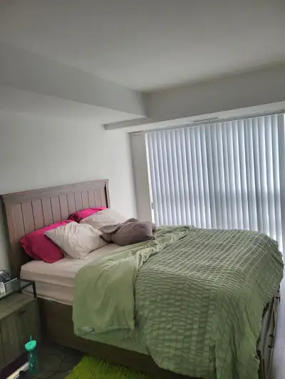 1 fully furnished apartment available for rent from Feb 15-June 30. Looking for a quiet clean profes...