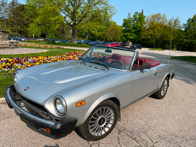 1981 Fiat Spider in Classic Cars in City of Toronto