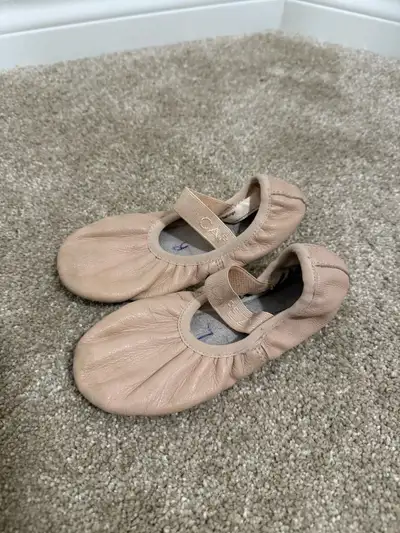 Capezio pink ballet shoes. Good condition. Size 10m. Style 212C. Pick up in McKenzie Towne