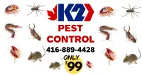 PEST CONTROL SERVICE Mice/Bedbugs/cockroaches