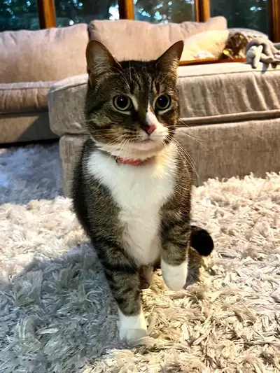 Free to a good home., View more