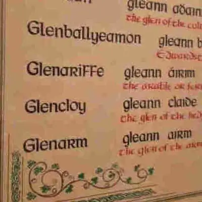 Irish collectible picture, View more