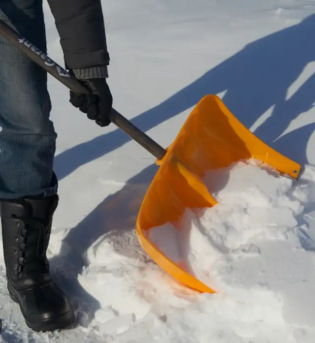 SNOW REMOVAL 65625979806979120