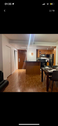 One bedroom apartment. Downtown Montreal 