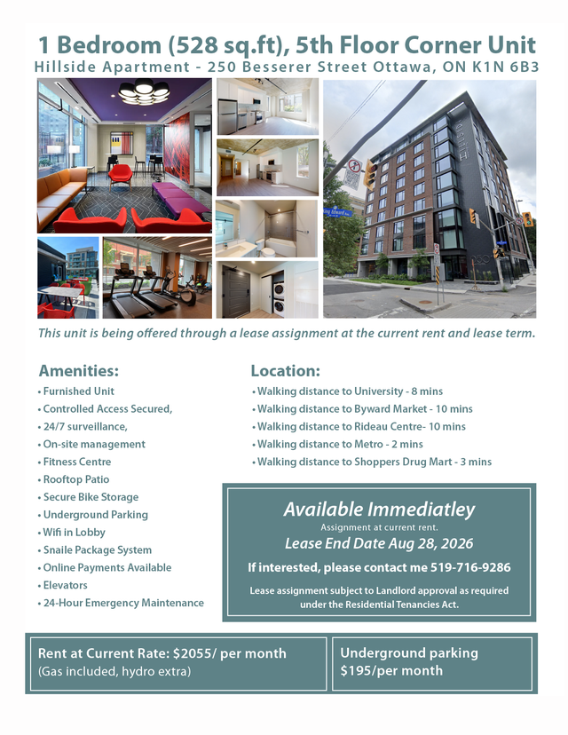 Amazing 1 Bedroom Apt, 5th Floor Corner Unit - Available Now!