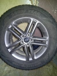 Honda 17in rim and tire