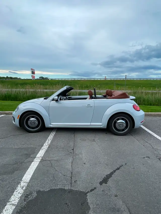 Beetle Convertible498589186529044483