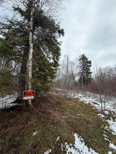 Fillion Lake lot for sale. The lot has good trees and close to the lake and boat launch. Fillion Lak...