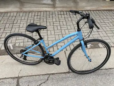 Raleigh Detour 1 Step-Through Commuter - Medium, View more