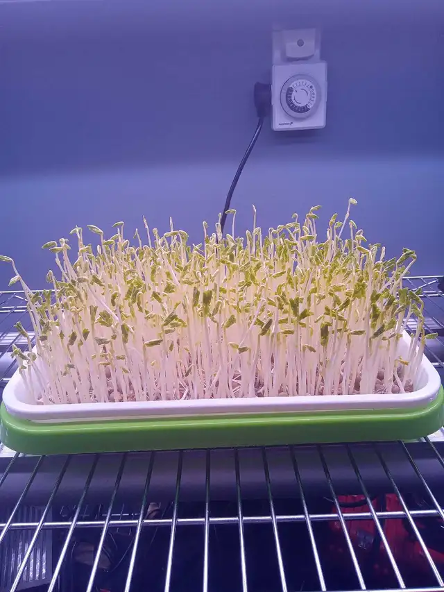 online assistance 64523625171715120