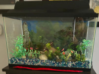 Fish Tank For Sale!!!