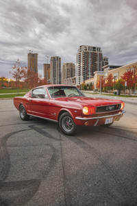 1966 Ford Mustang Fastback numbers matching