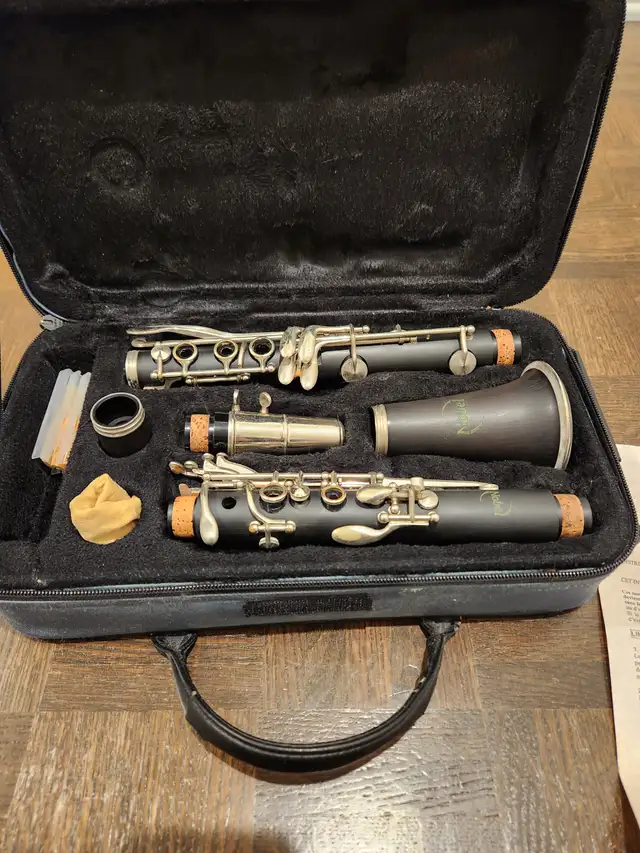 Clarinet628637315569941210