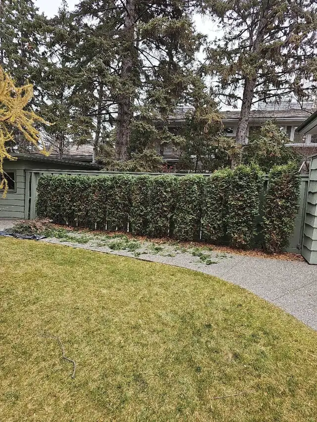 Essential Tree Services 533909563360552969