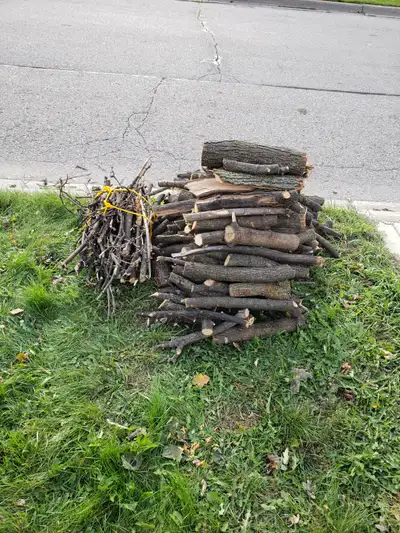 Free firewood in Brampton, View more