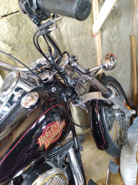 2001 Harley 