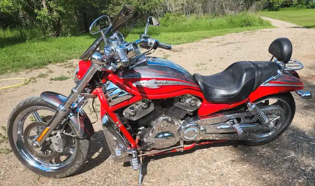 2006 Harley Davidson VRSCSE2 Screaming Eagle Vrod in Street, Cruisers & Choppers in Regina - Image 5