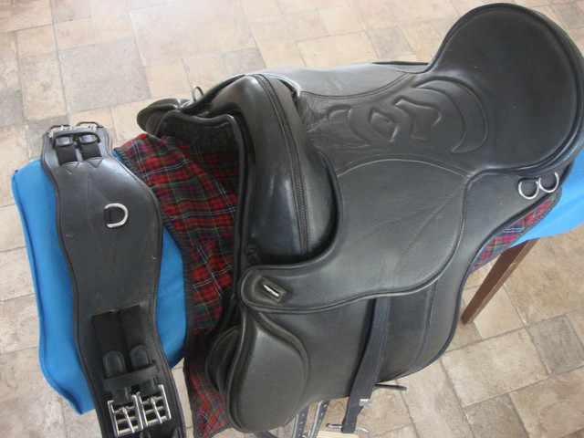 Dressage Saddle in Equestrian & Livestock Accessories in Peterborough