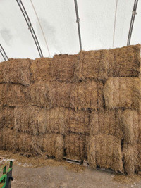 2nd cut hay