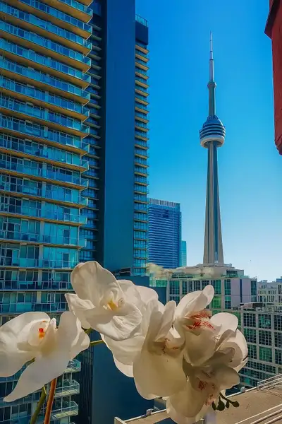 2 BEDROOM (DEN WITH DOOR) | 393 KING ST W — TOP FLOOR If you’ve been looking for a bright, peaceful...