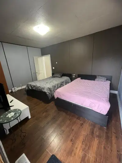 rooms for rent
