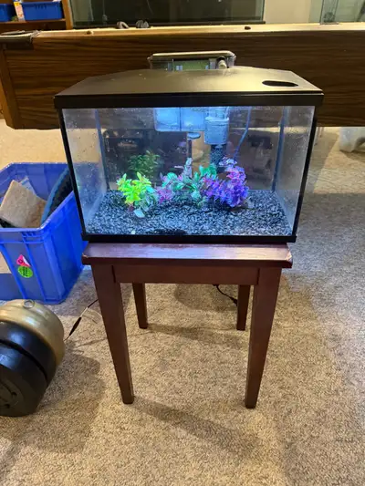 5 Gallon Fish Tank , View more