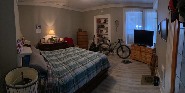 1 Bedroom Apartment in Long Term Rentals in Fredericton - Image 2