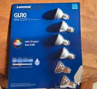 Luminous LED Bulbs 
