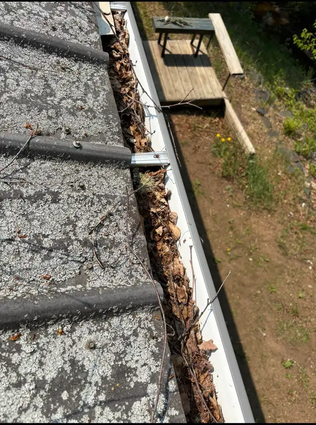 Local Odd Jobs –  Clean Ups, Junk Removal,Gutters Lawn care in Other in Thunder Bay - Image 4