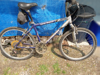 Bikes for sale - new lower price - $50 each