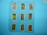 1938 GALLAHER LIMITED VIRGINIA HOUSE GARDEN FLOWERS COMPLET SET