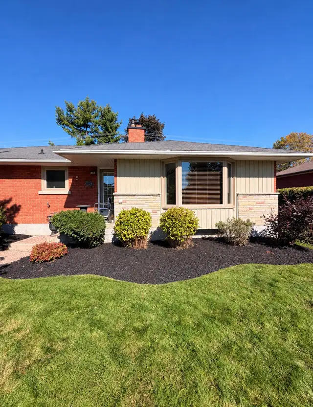 Exterior services & fall cleanup/snow removal in Lawn, Tree Maintenance & Eavestrough in Ottawa - Image 5