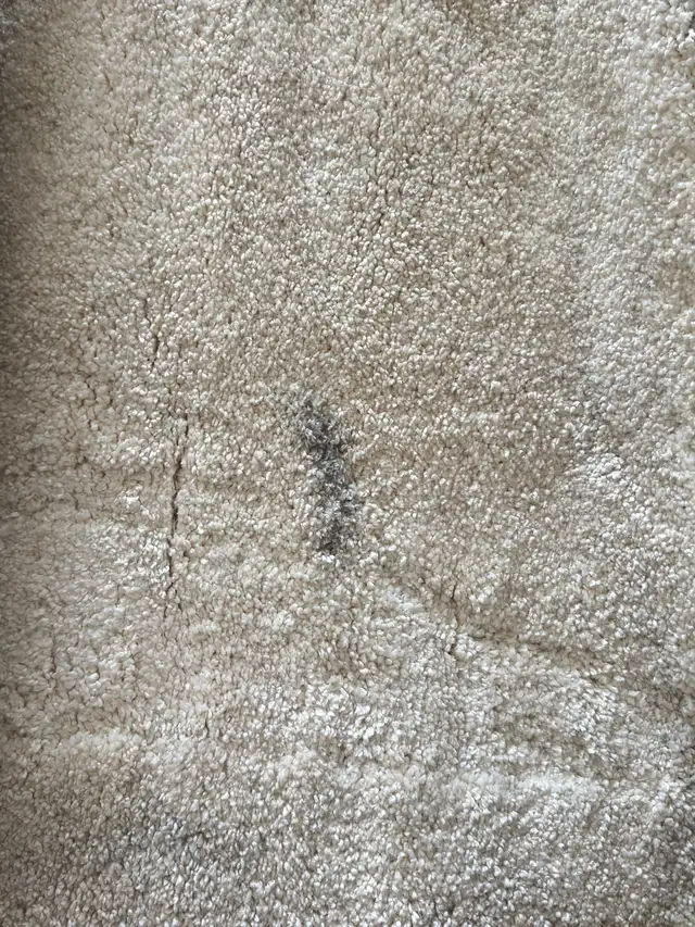 Brooklyn Rug in Rugs, Carpets & Runners in Ottawa - Image 4
