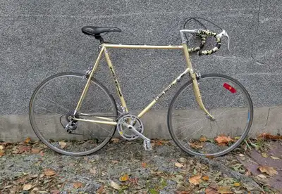 vintage Claud Butler Majestic - Reynolds 531, View more