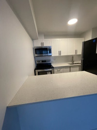 Renovated Bachelor Unit Available for June 1st